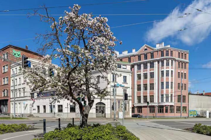 Minimalist In Old Town